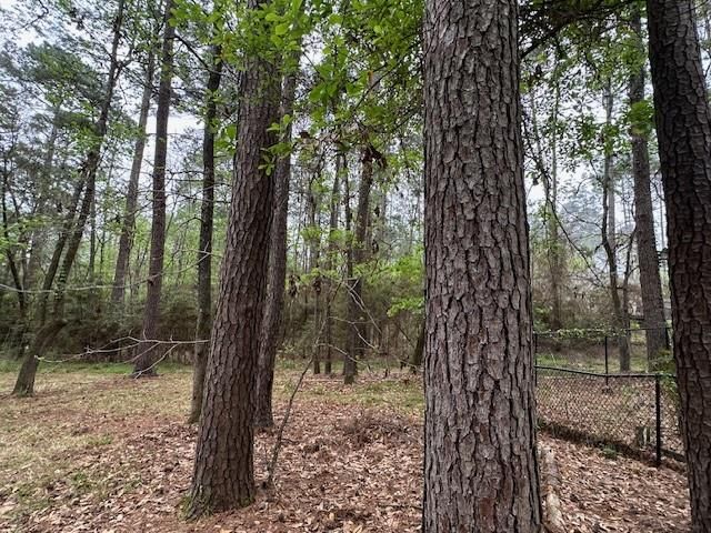 170 Altwood Drive, Coldspring, TX 77331