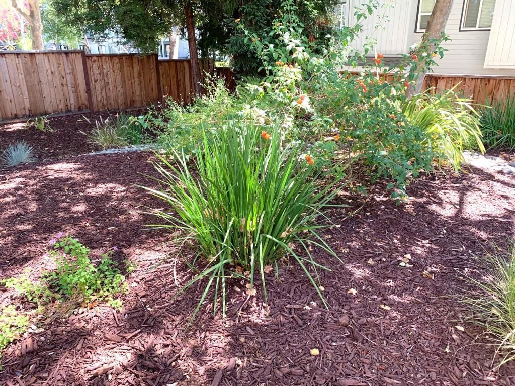 Image 24 of property listing at 1672 Branham Park Place, San Jose, CA 95118