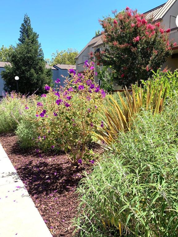 Image 25 of property listing at 1672 Branham Park Place, San Jose, CA 95118
