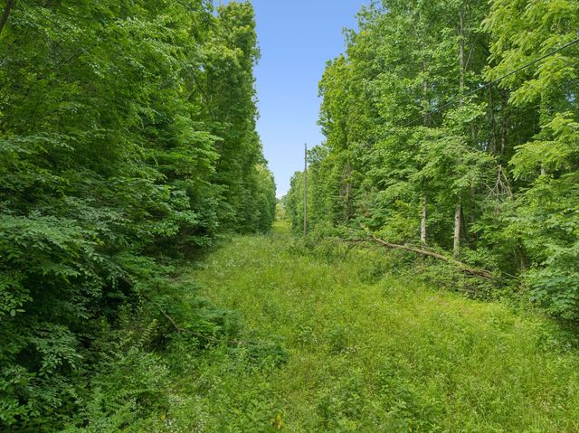 0 Davis Hollow Rd, Franklin, TN 37064