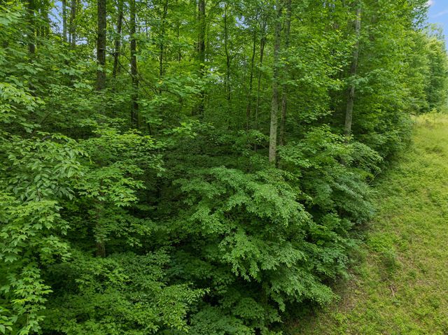 0 Davis Hollow Rd, Franklin, TN 37064