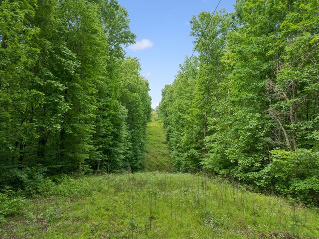 0 Davis Hollow Rd, Franklin, TN 37064