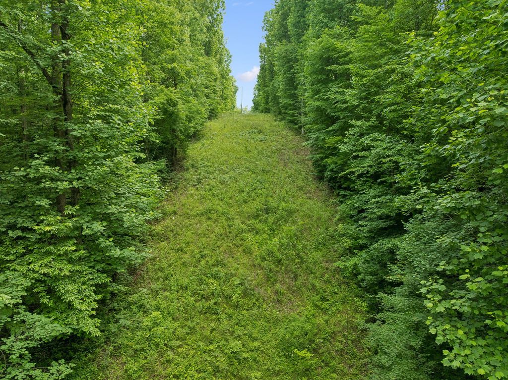 0 Davis Hollow Rd, Franklin, TN 37064