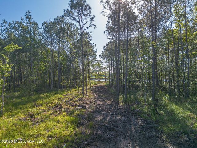 13030 Enciente Point Drive, Kiln, MS 39556