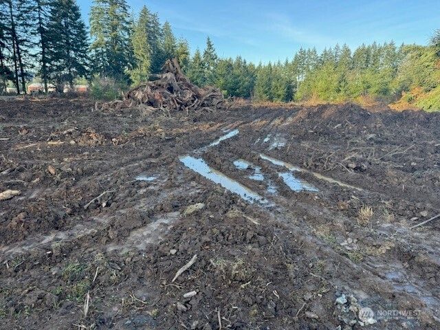 380 Hawkins Road, Winlock, WA 98596