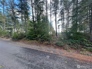 31 E Hemlock Court, Union, WA 98592