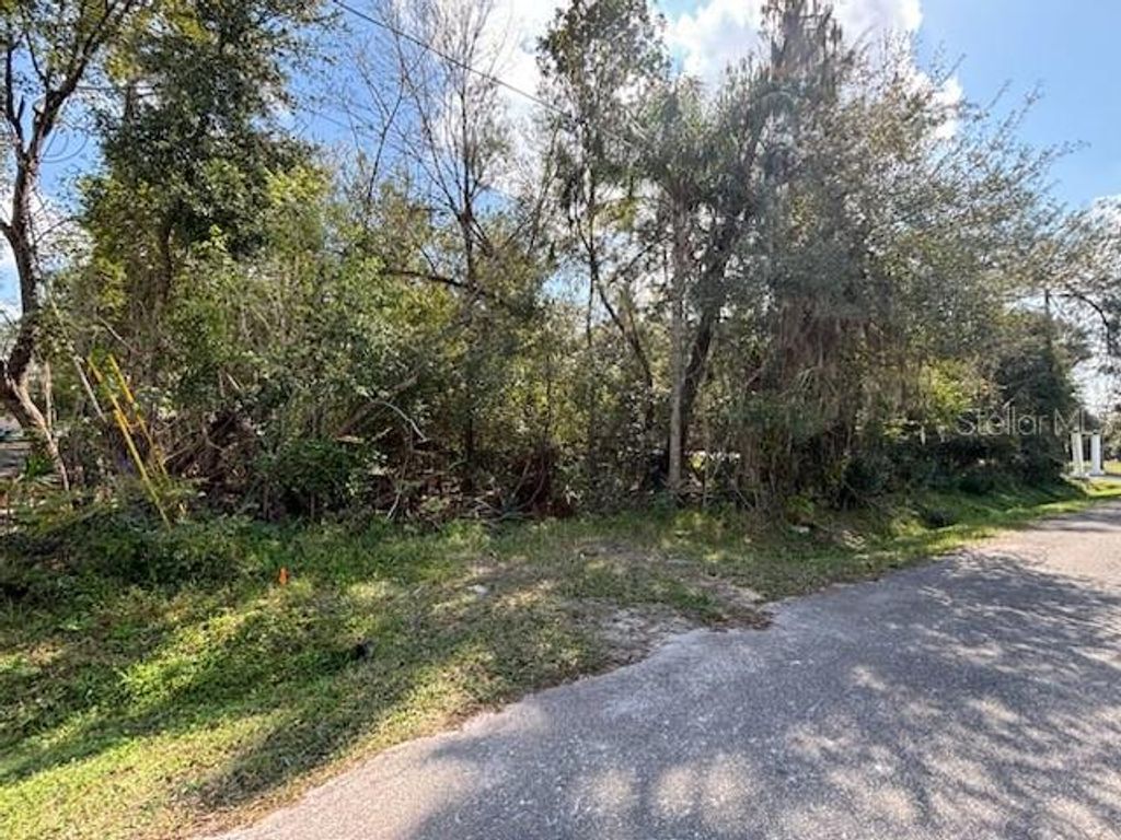 1607 LAKE DOWNEY DRIVE, Orlando, FL 32825