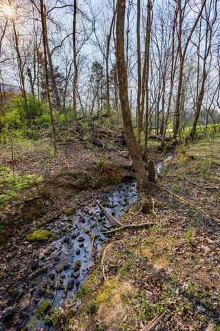 1025 Cedar Springs Road, Athens, TN 37303