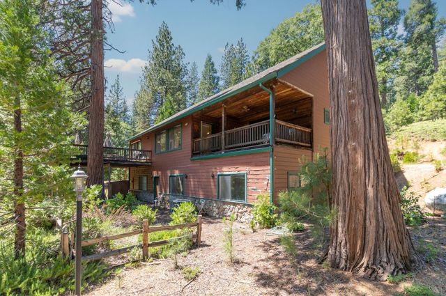 27297 Dew Drop Rd, Pioneer, CA 95666