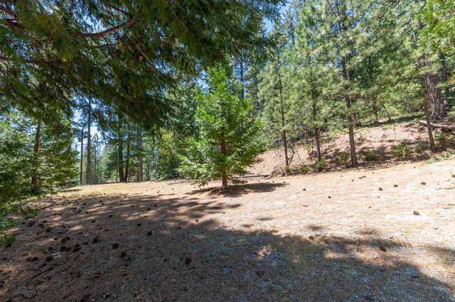 27297 Dew Drop Rd, Pioneer, CA 95666