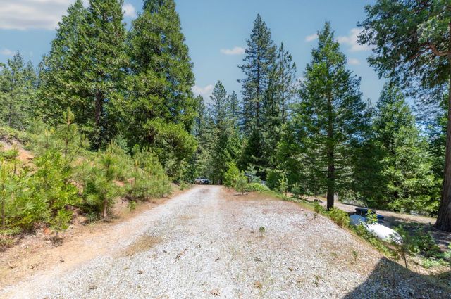 27297 Dew Drop Rd, Pioneer, CA 95666