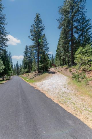 27297 Dew Drop Rd, Pioneer, CA 95666