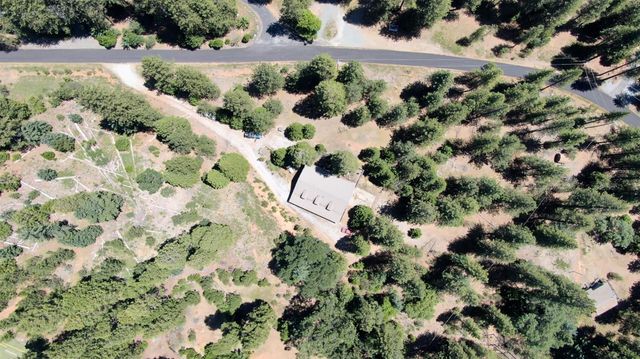27297 Dew Drop Rd, Pioneer, CA 95666