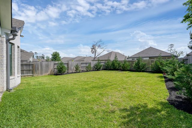 550 Chestnut Reef Court, Conroe, TX 77304