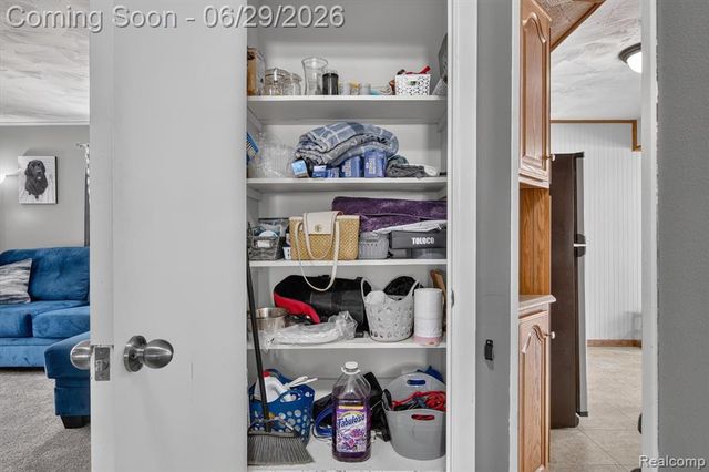 672 8th Street, Wyandotte, MI 48192