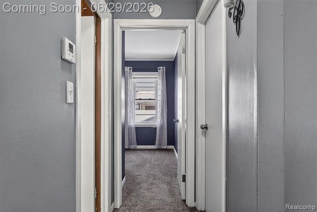 672 8th Street, Wyandotte, MI 48192