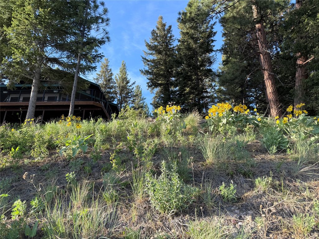 5343 N Placid Lake Road, Seeley Lake, MT 59868 photo 2