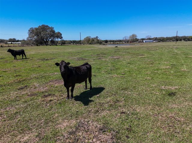 Tr. 1 Reitz Quinn Road, Cat Spring, TX 78933