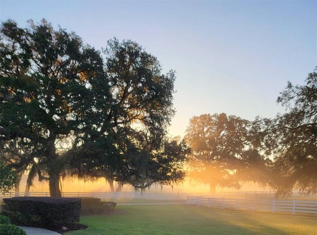 209 KENTUCKY BLUE CIRCLE, Apopka, FL 32712