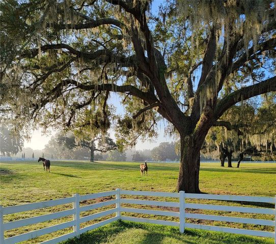 209 KENTUCKY BLUE CIRCLE, Apopka, FL 32712