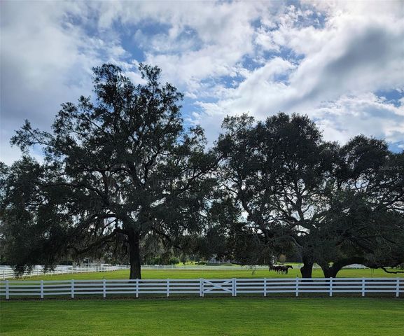 209 KENTUCKY BLUE CIRCLE, Apopka, FL 32712