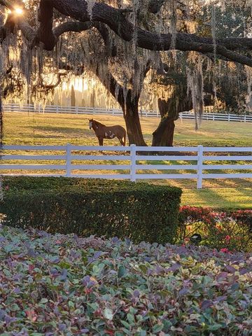 209 KENTUCKY BLUE CIRCLE, Apopka, FL 32712