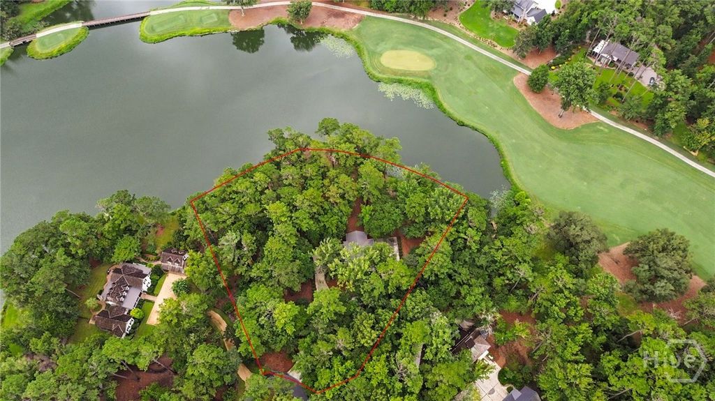 Image 29 of property listing at 466 Belted Kingfisher Lane, Richmond Hill, GA 31324