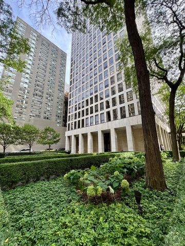 260 E Chestnut Street 1511, Chicago, IL 60611