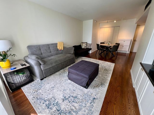 260 E Chestnut Street 1511, Chicago, IL 60611