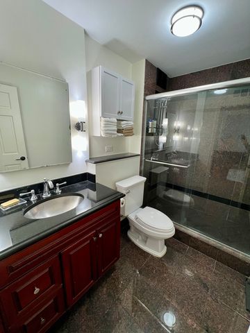 260 E Chestnut Street 1511, Chicago, IL 60611
