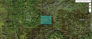 OLD GRADE RD, Polk City, FL 33868