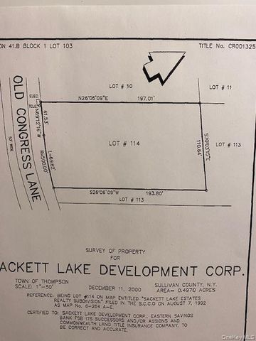 Lot 114 Old Congress Road, Monticello, NY 12701