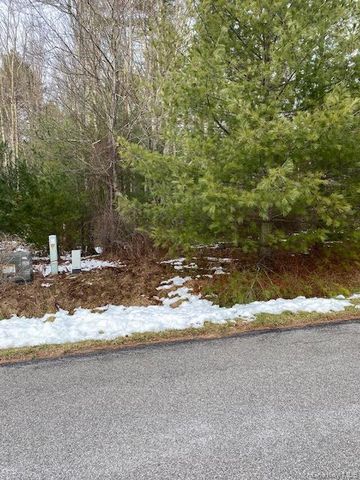 Lot 114 Old Congress Road, Monticello, NY 12701