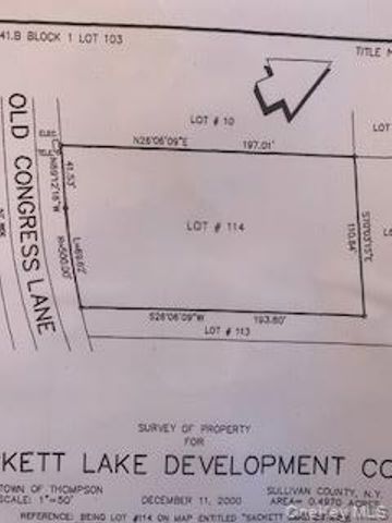 Lot 114 Old Congress Road, Monticello, NY 12701