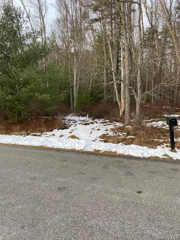 Lot 114 Old Congress Road, Monticello, NY 12701