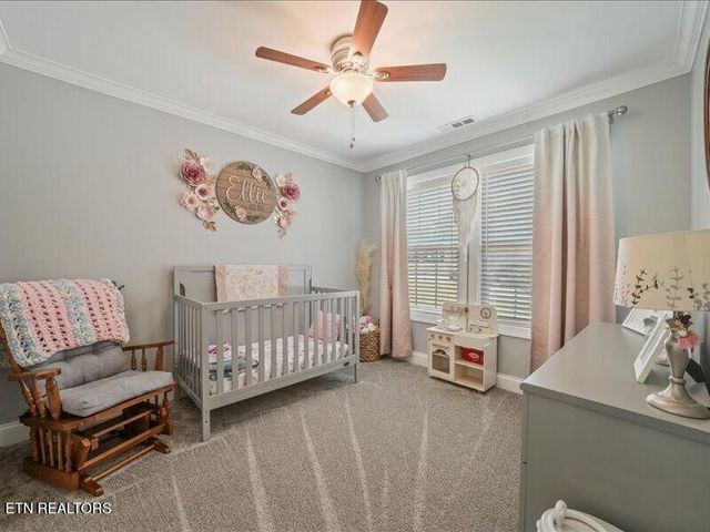 7900 Wheatland Drive, Knoxville, TN 37931