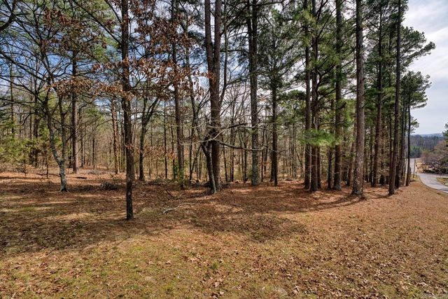 144 & 158 A&B Isaac Lane, Hot Springs, AR 71901