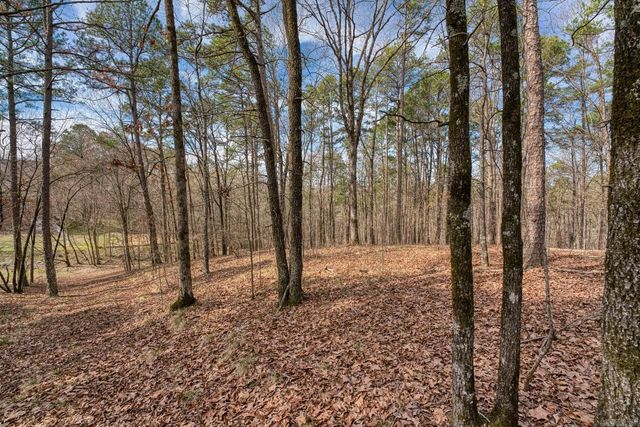 144 & 158 A&B Isaac Lane, Hot Springs, AR 71901