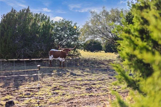 111 County Road 253, Bertram, TX 78605