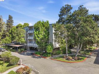 955 shorepoint 209, Alameda, CA 94501