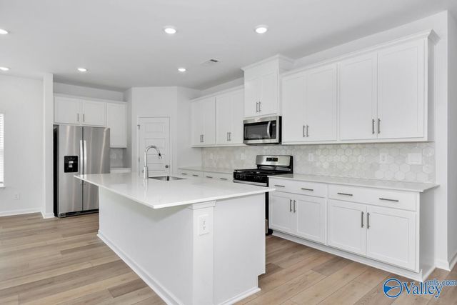 29680 Gallows Cove, Harvest, AL 35749