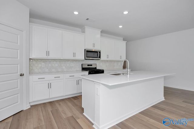 29680 Gallows Cove, Harvest, AL 35749