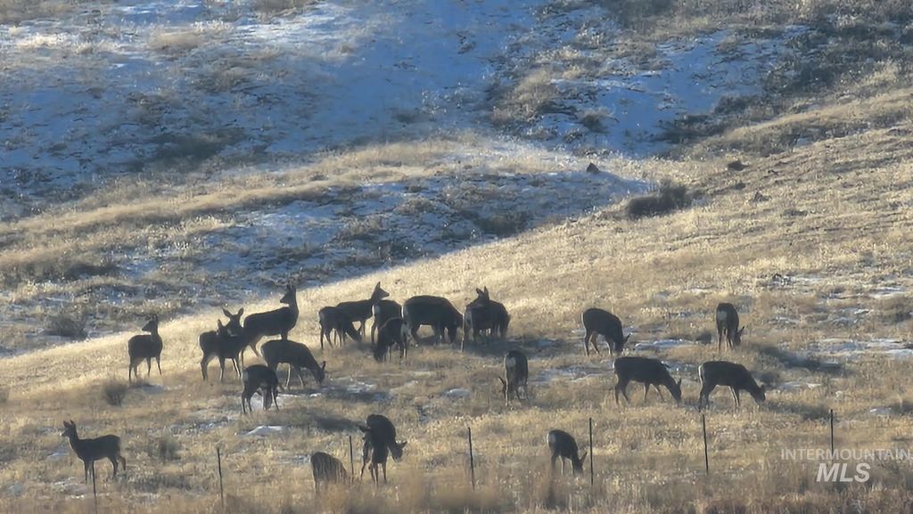 2051 Thompson Rd, Homedale, ID 83628