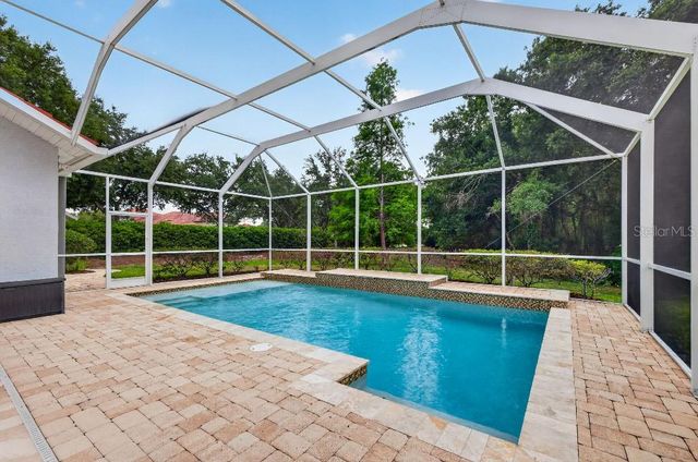 17912 ARBOR HAVEN DRIVE, Tampa, FL 33647