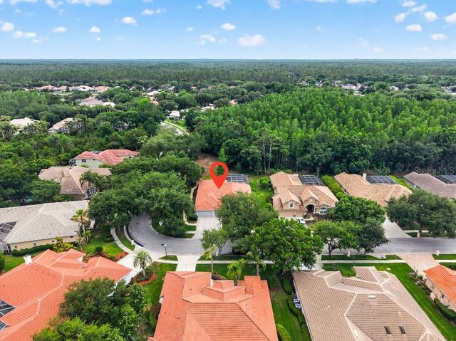 17912 ARBOR HAVEN DRIVE, Tampa, FL 33647