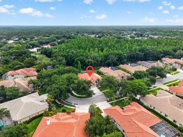 17912 ARBOR HAVEN DRIVE, Tampa, FL 33647