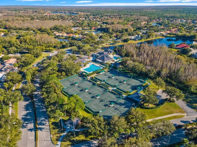 17912 ARBOR HAVEN DRIVE, Tampa, FL 33647