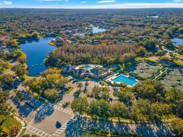 17912 ARBOR HAVEN DRIVE, Tampa, FL 33647