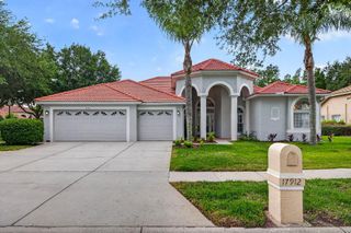 17912 ARBOR HAVEN DRIVE, Tampa, FL 33647