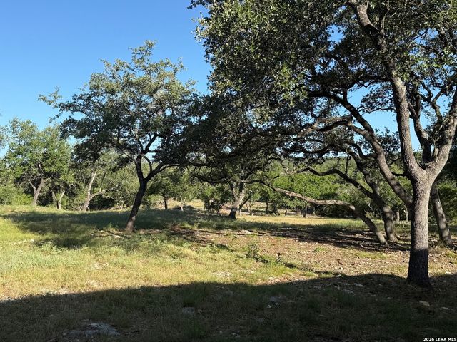 134 Lantana Cerro, Spring Branch, TX 78070